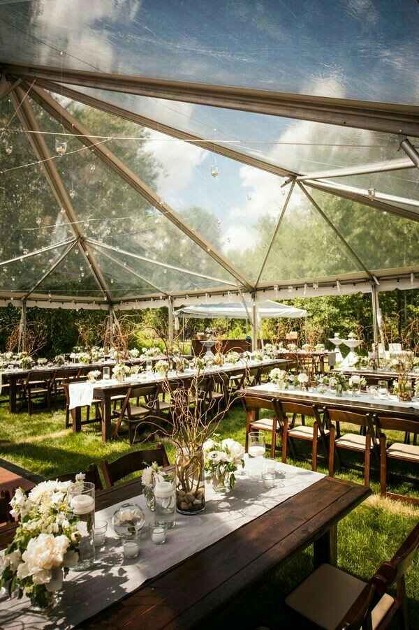 Toldo transparente - 5