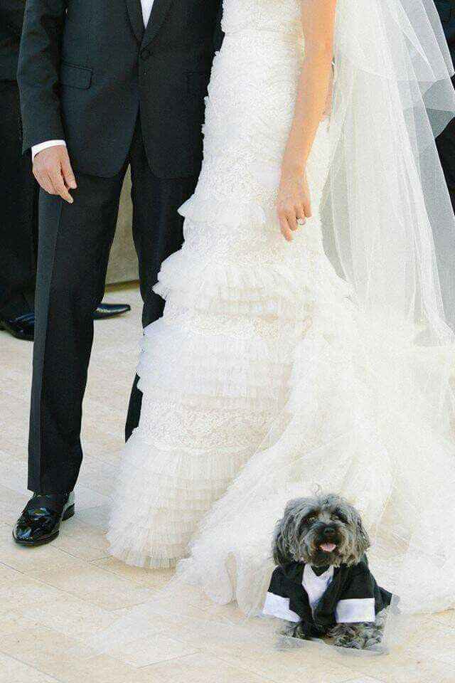 Porque son parte de la familia... - 14