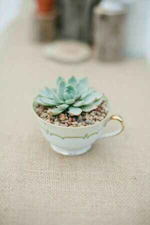 ¡Ideas para decorar con tazas! - 1