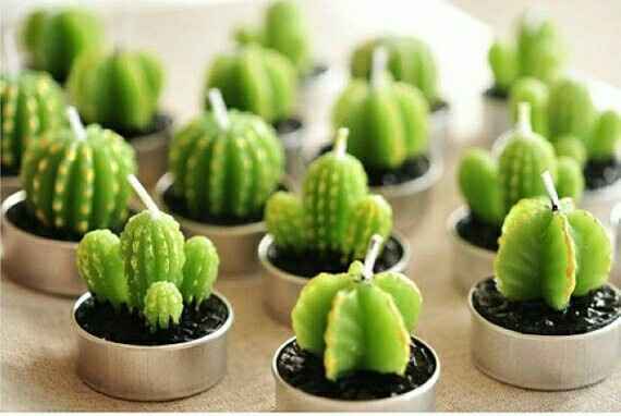 Boda temática: cactus. - 18