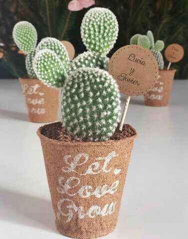 Boda temática: cactus. - 19