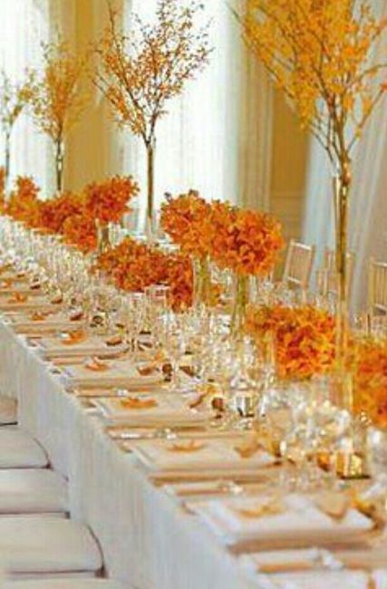 Mi boda de naranja - 3