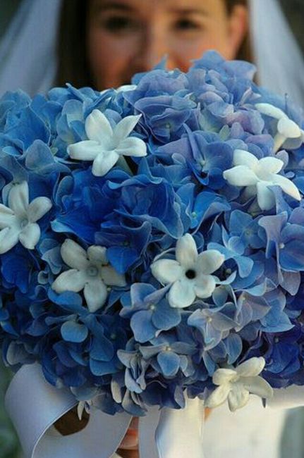 Boda de azul marino - 7