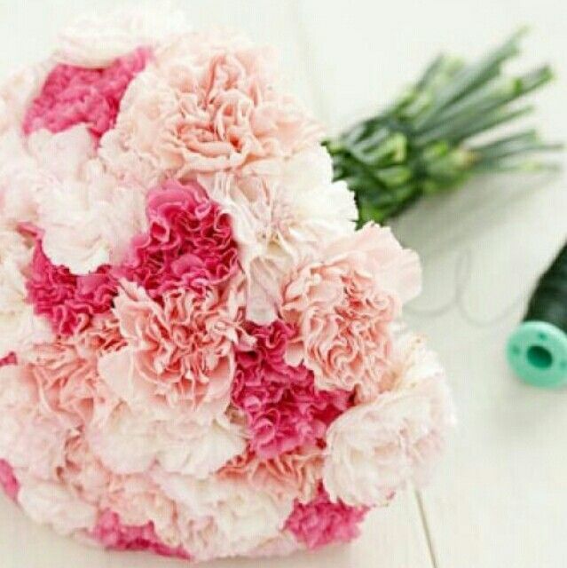 Mi boda de rosa - 11