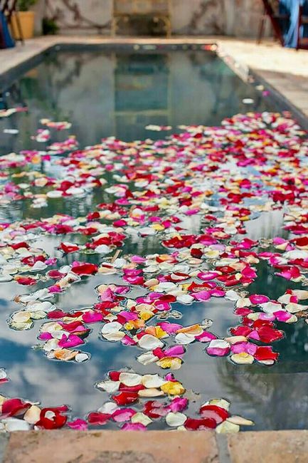 Decoración de boda en jardín con alberca - 3