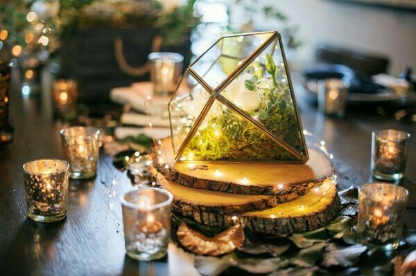 Terrarium - 3