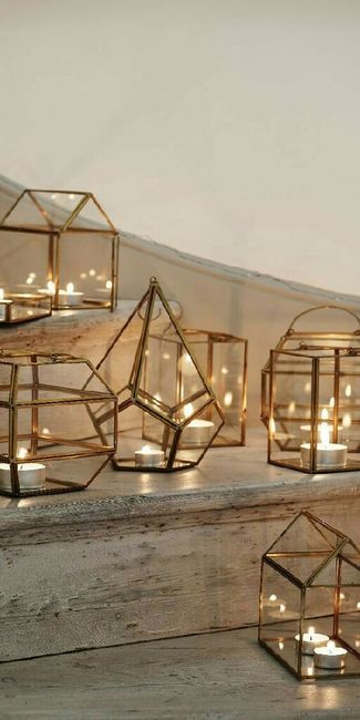Terrarium - 5