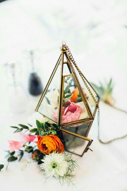 Terrarium - 6