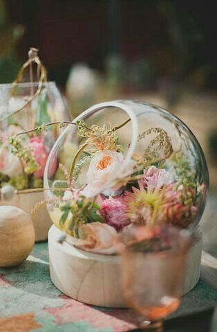 Terrarium - 15