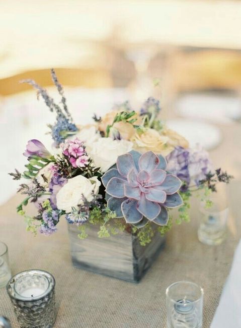 Ideas con suculentas 🌸 - 3
