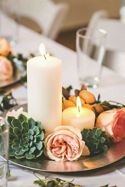 Ideas con suculentas 🌸 - 9