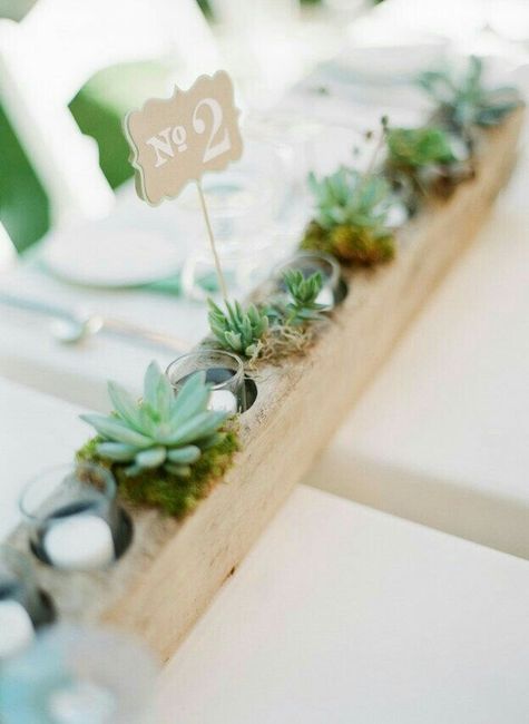 Ideas con suculentas 🌸 - 10