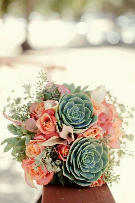 Ideas con suculentas 🌸 - 13