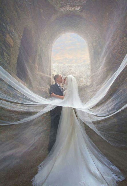 Velo de novia: fotos - 5