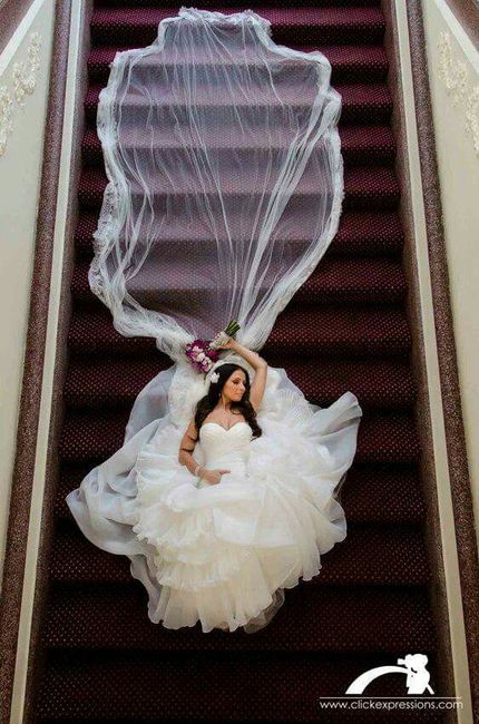Velo de novia: fotos - 15