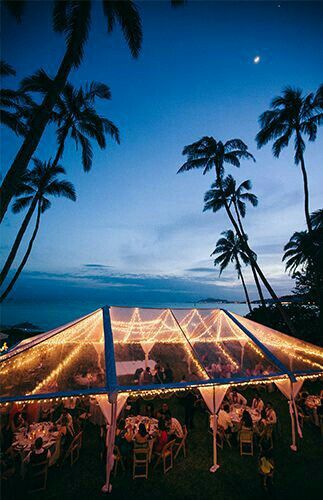Boda temática hawaiana/tropical - 22