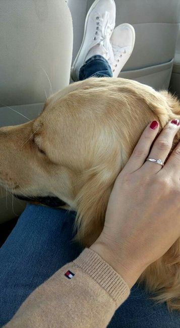 ¿cuál fue la última foto que le tomaron a su anillo? 💍 - 1