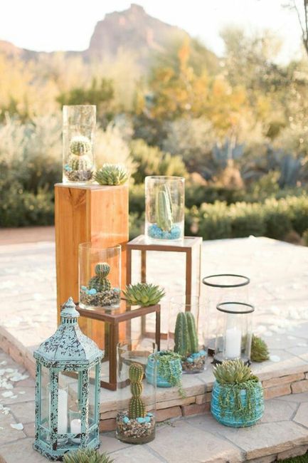 Boda temática: cactus. - 8