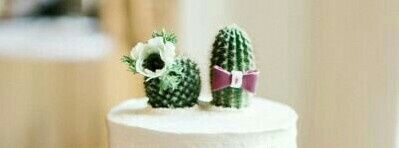 Boda temática: cactus. - 16