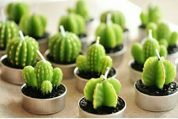 Boda temática: cactus. - 18
