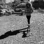 Lizbeth