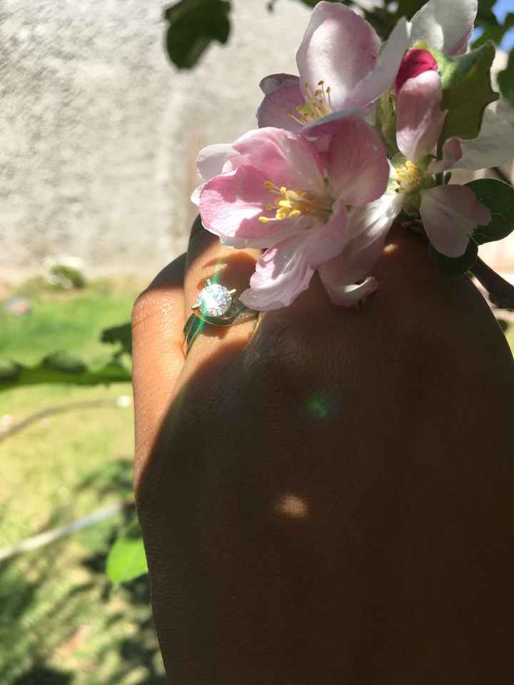 Mi anillo 