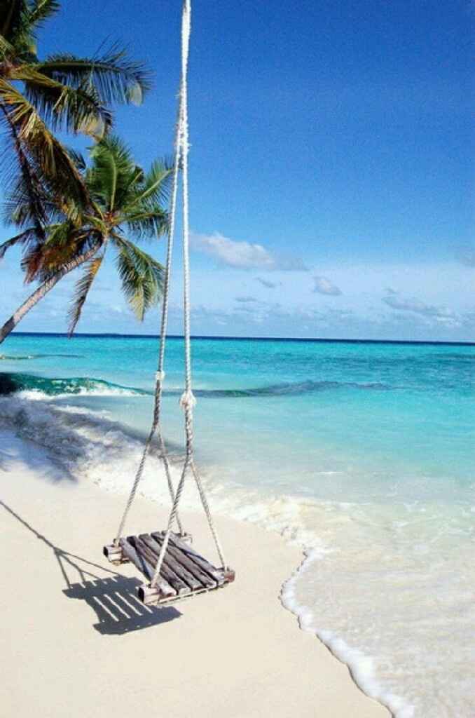 Y ustedes, a qué le estan dando más prioridad? - 4