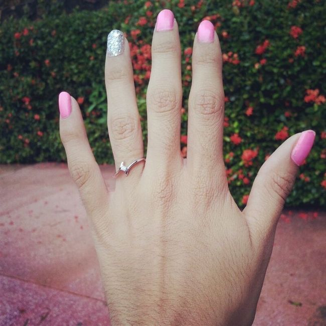 pedida de matrimonio