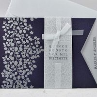 Ilindecisa con las invitaciones - 1