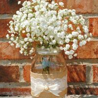 Flores nube o baby breath - 1