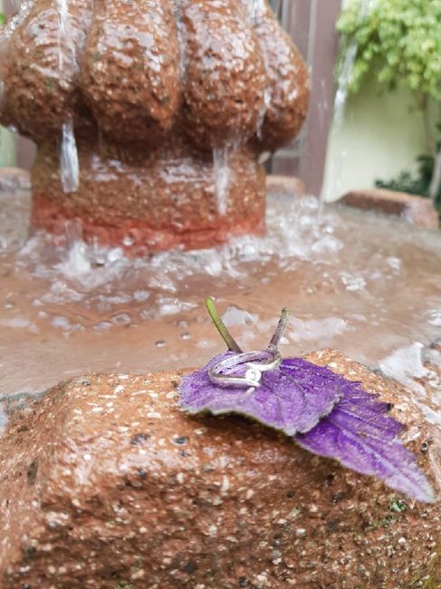 Fotos del anillo - 2