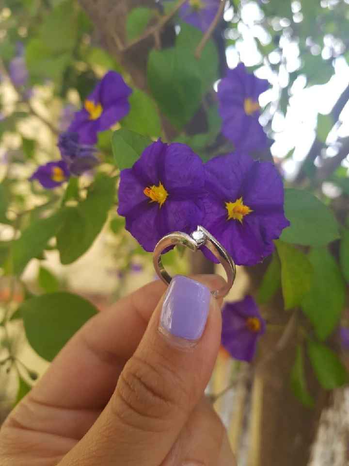 ¡Martes de muestreeeeeeeeeeeeeeeeeeeeeeeen sus anillos! - 1