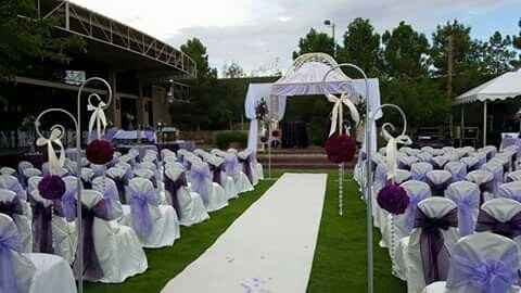 Ausente por unos días y decepcionada - 2