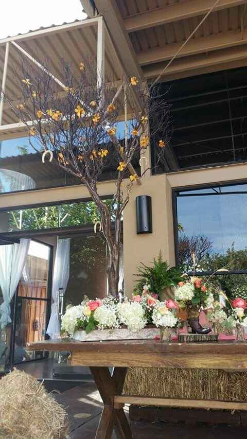 Color de la boda ?? - 7