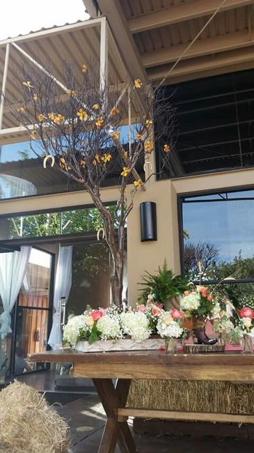 Color de la boda ?? - 7