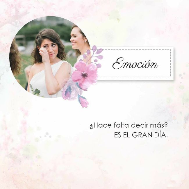 Sentimientos el día b - 7