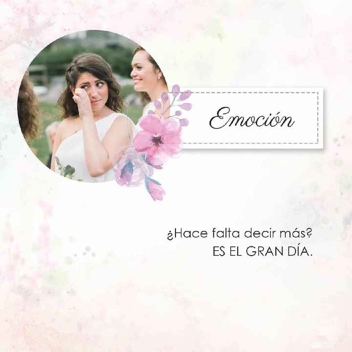 Sentimientos el día b - 7