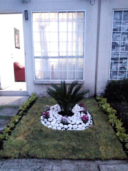 Formando nuestro hogar....nuestro Jardín 😍 - 5