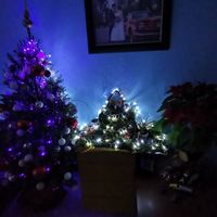 Nuestra primera época navideña como esposos! - 2