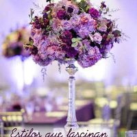 Club de la novia morada - 3