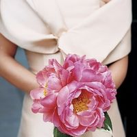 En color rosa