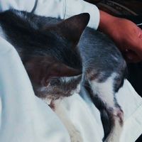 Mi super novio adad!!! - 3