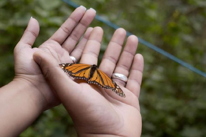 ¿cómo les dieron el anillo? Cuéntenme su historia 💙 - 1