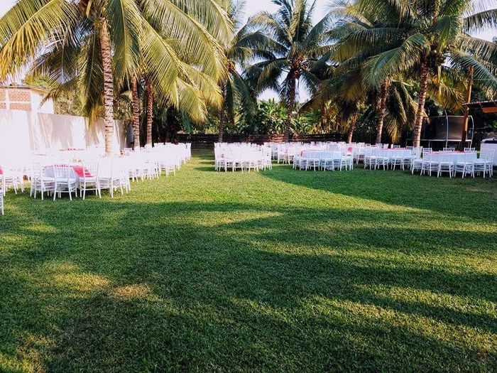 Les presento: el jardín!!! - 2