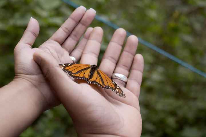 ¿cómo les dieron el anillo? Cuéntenme su historia 💙 - 1