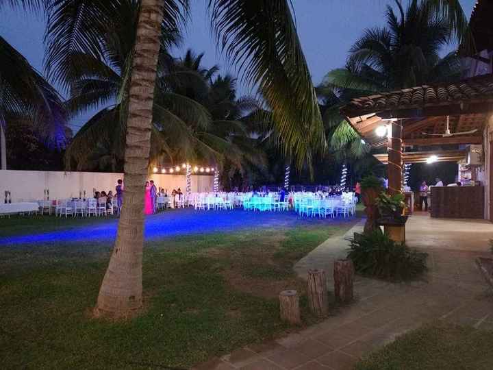 Les presento: el jardín!!! - 3