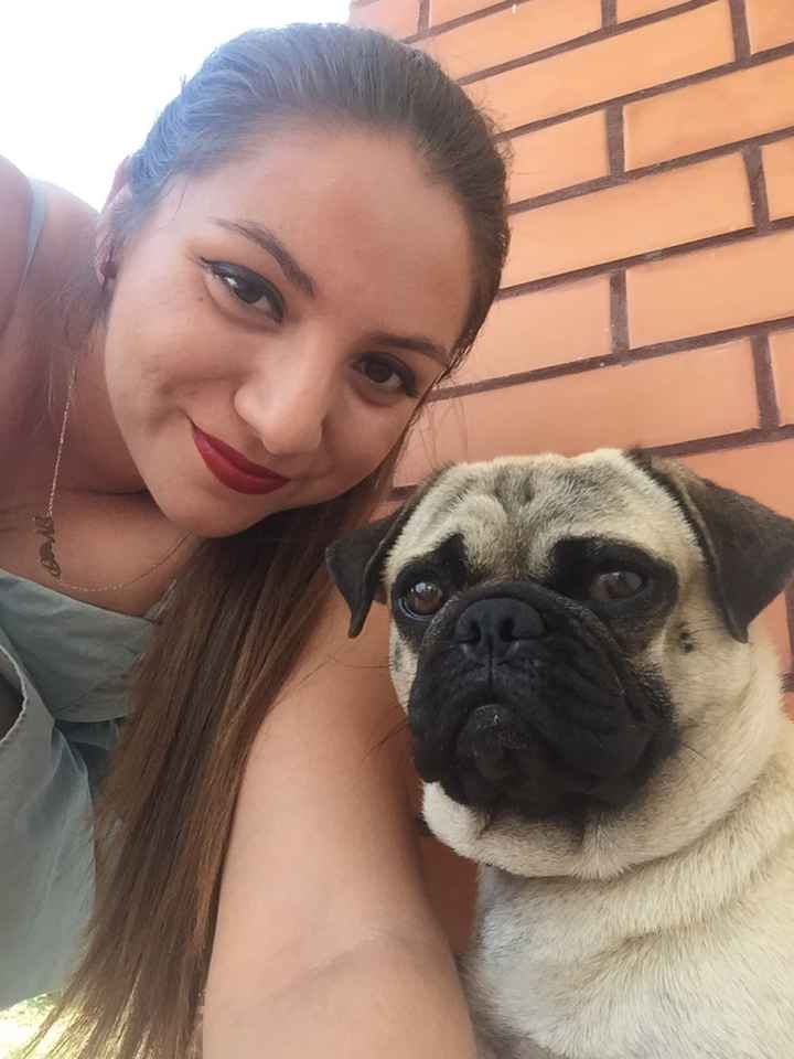 Presentando a las mascotas. - 1