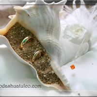 caracoles para anillos