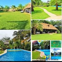 Mi boda de civil regional - 1