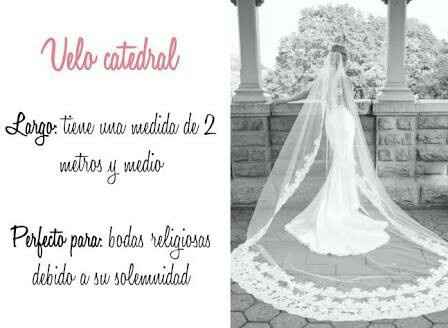 Tipos de velo - 2